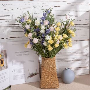 ������PEõ����滨�S�Ҽ�ͥ�b�c·������ֲ��ٻ�INS�L