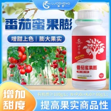 洛圣番茄蜜果膨番茄快速膨果拉长增产增甜口感好农用膨果水溶肥