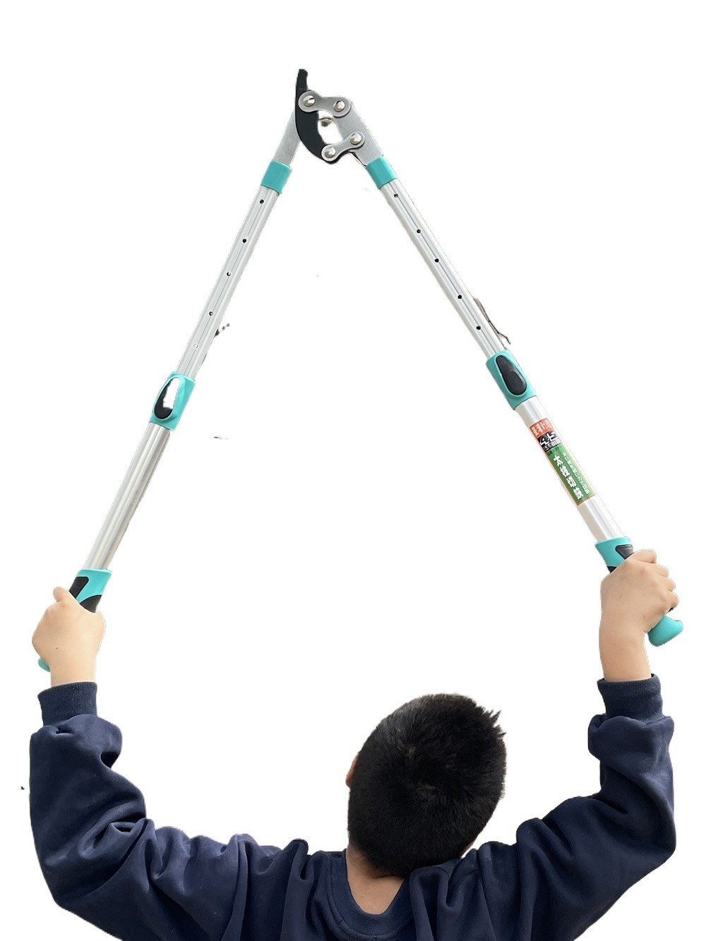 剪树枝专用剪刀修剪粗枝大剪刀果树修枝大力剪强力剪子艺园林工具