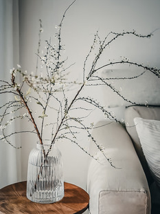 插雲龍柳圖片 海量高清插雲龍柳圖片大全 阿里巴巴