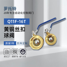 �S�~�z�����yQ11F-16T���ݼy�~���y�քӼ���4��6���ԁ�ˮ�_�P�y�T