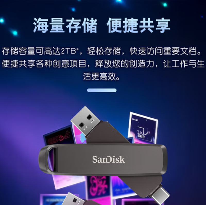 SanDisk SDDE1 USB フラッシュドライブ 純正 高度ソリッドステート USB フラッシュドライブ 大容量 TypeC デュアルインターフェース 携帯電話 コンピュータ ソリッドステート USB フラッシュドライブ|undefined
