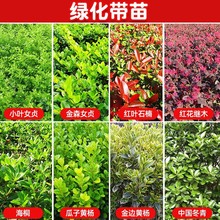 ��ɭŮؑ�t���^ľ�t�~ʯ�ɫ�K�h�ʠ������ļ������d�����׶���