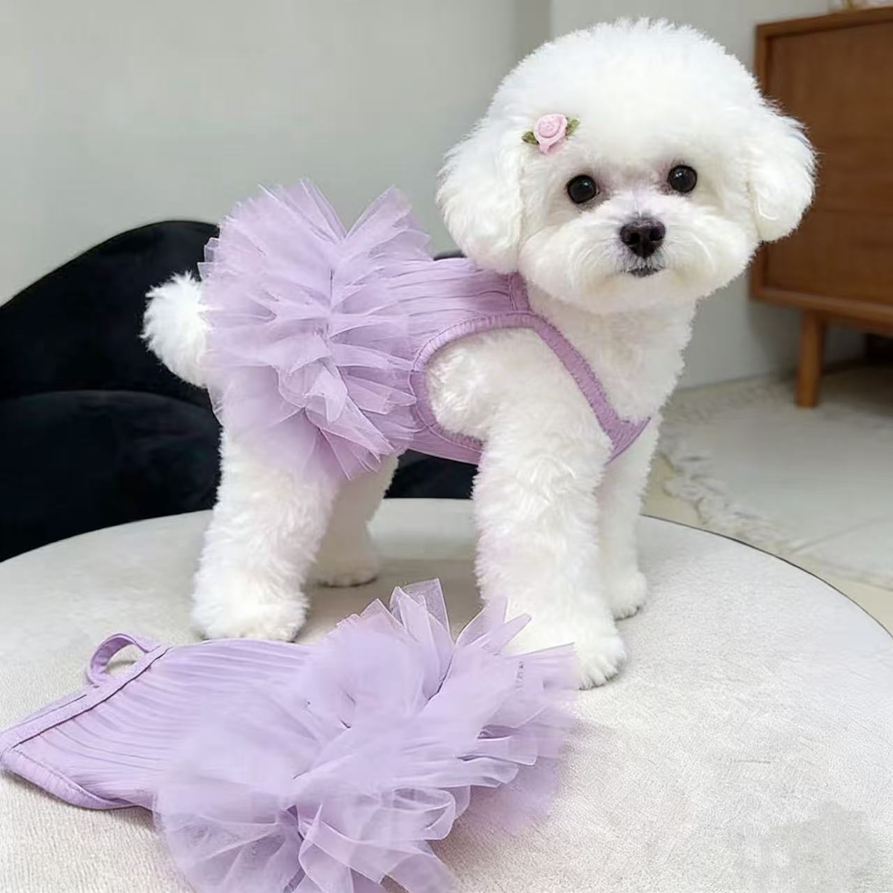 Cross-border Summer Pet Vest, Cool Breezy The Summer, Fluffy Gauze Dog And Cat Suspender Dress, For Small Dogs Like_voghion.com