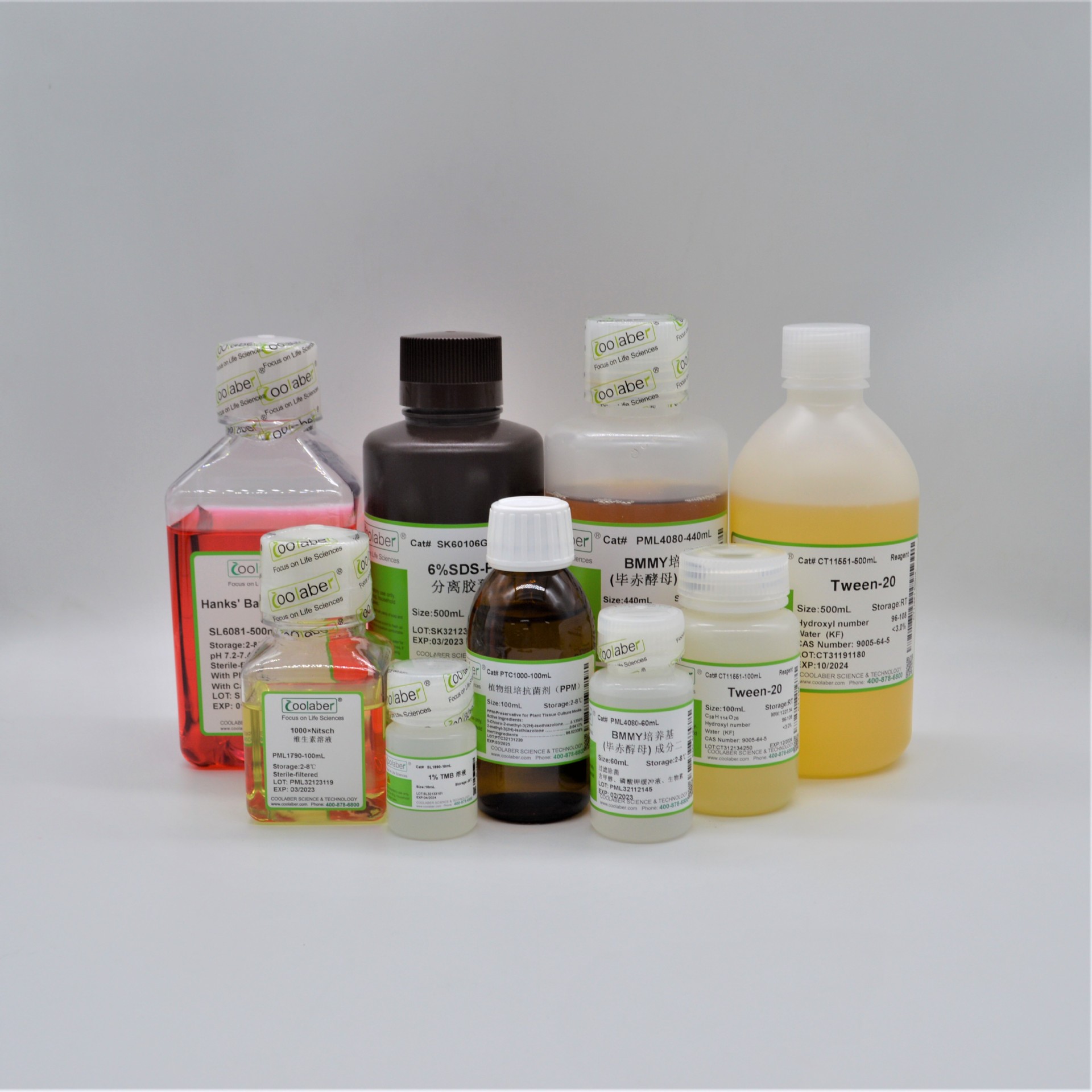 DNase I溶液（1 kU / mL，RNase free）