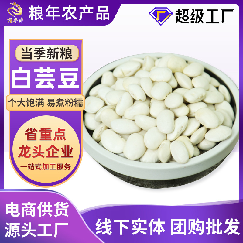 云南大粒白芸豆真空袋装大豆无硫新鲜五谷杂粮原料白腰豆批发代发
