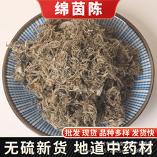 中药材茵陈500g克包邮茵陈绵茵陈因陈蒿棉茵陈干货茵陈草