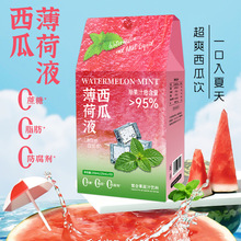 定制西瓜薄荷液冷泡清凉薄荷西瓜果汁清热去火西瓜薄荷果茶植物饮