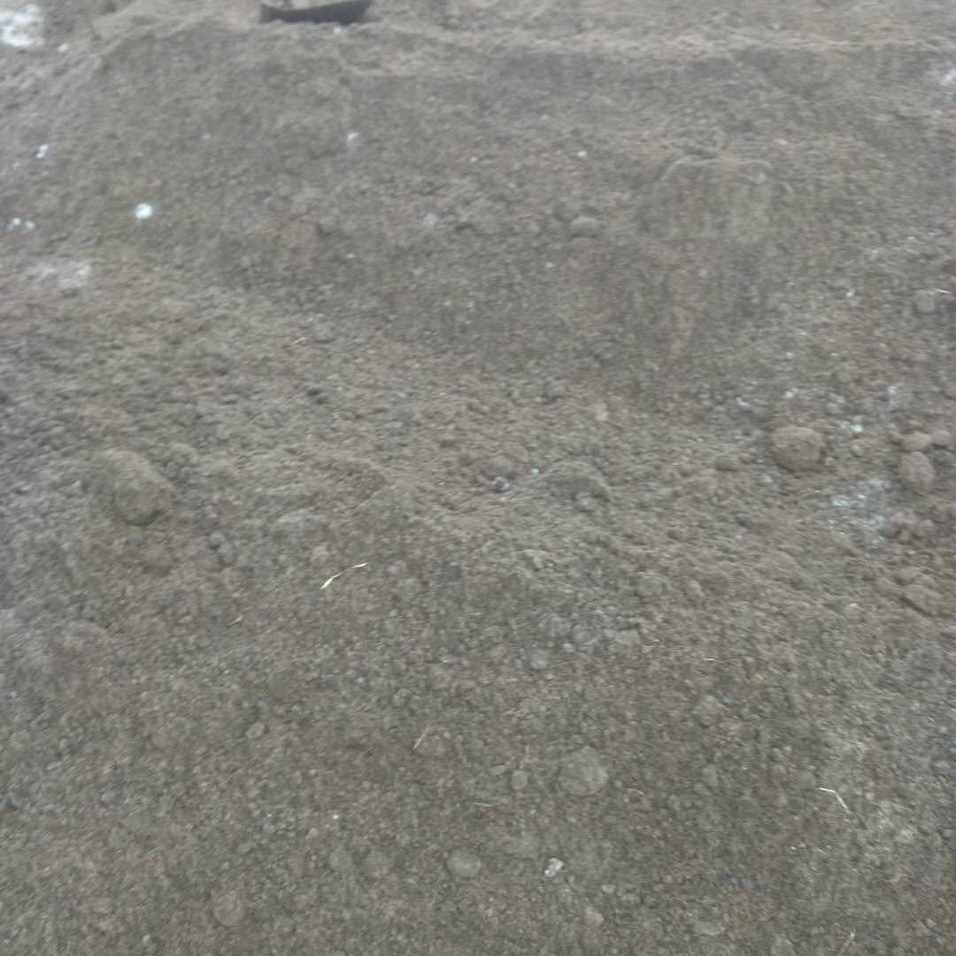 内蒙古纯羊粪，价格低，质量好