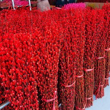 银柳干花鲜枝客厅室内装饰年宵花卉红色银柳花摆件喜庆红福桶