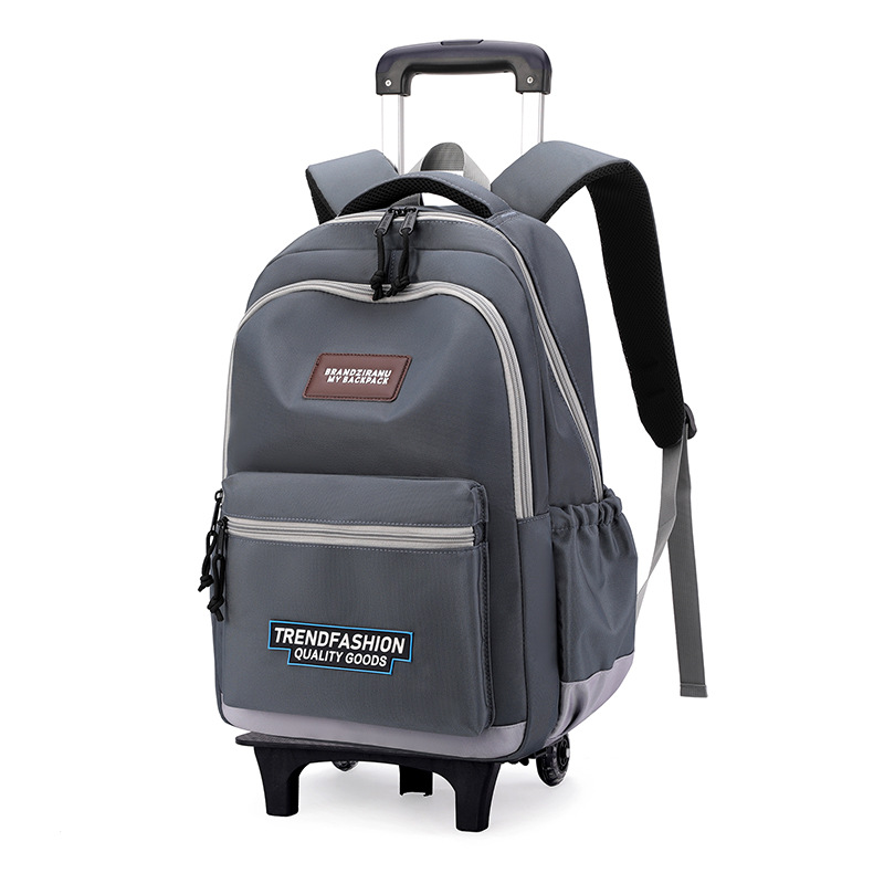 Nuevo pescado natural bolsas escolares ligeras, bolsas escolares de gran capacidad para niños de escuela primaria, bolsas escolares de 3 - 6 grados