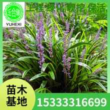 ���lͥԺ��ľ�ͺ���߅������С�缚�~���~�������ļ����ఫ������