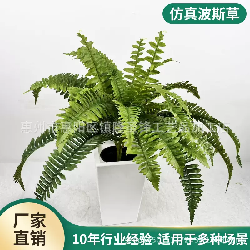 亚马逊仿真蕨类波斯草人造蕨类波士顿蕨仿真草家居室内装饰假植物