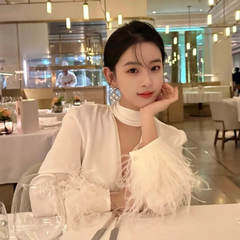 High-End Elegant White Shirt with a French Design Feel, Deep V-Neck with Feathers, Unique and Exquisite, Stunning Top for Spring 2026