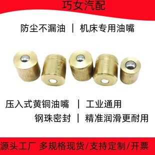 �S�~����ʽ���� Brass Push-in Grease Fitting �C������S�ͱ�