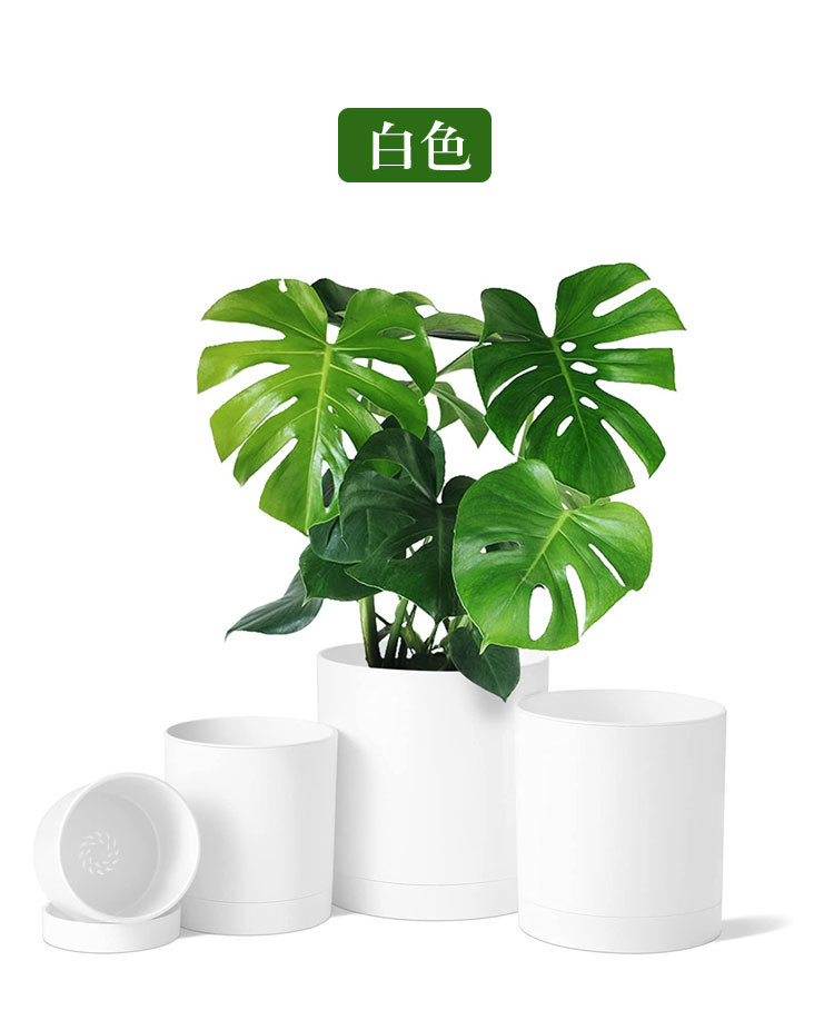 C12详情_10.jpg