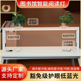 其他专用灯具