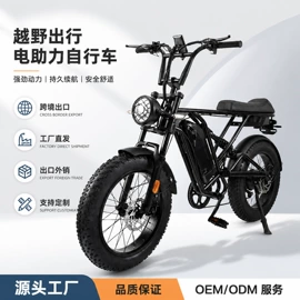 电动自行车
