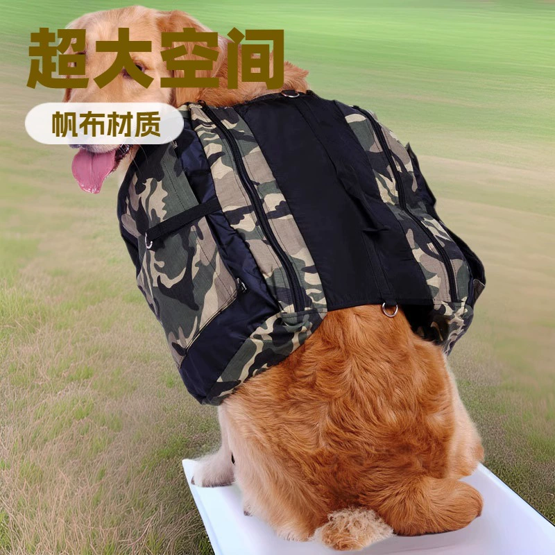 Домашние собаки из одного поколения