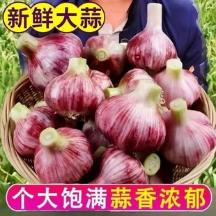 �����⌣�á����r�����r��������Ƥ�������l�F�������Ǵ����^����