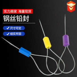 钢丝封条厂家集装箱铅封抽紧式六角施封锁电表封条防盗扎带
