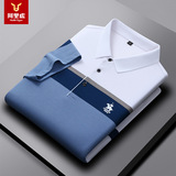 阿里虎 Летняя футболка polo, с вышивкой, принт, короткий рукав