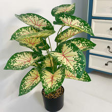 �羳����Gֲ18�^ ɢβ���٘��~ �͏dֲ��[�� ��c�b��쾰 �S��