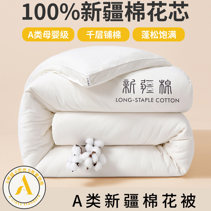 a类100%新疆棉花被加厚保暖冬被春秋被纯棉被芯家用学生四季被褥|undefined