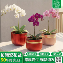 �羳�����m�����û������ϼ����k���ҷNֲ���������֬���մɻ���