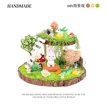 �p��ľ�|΢���^��؈���ϰ���ͯ�ֹ�diy�����z�����쾰��ߔ[��Ʒ