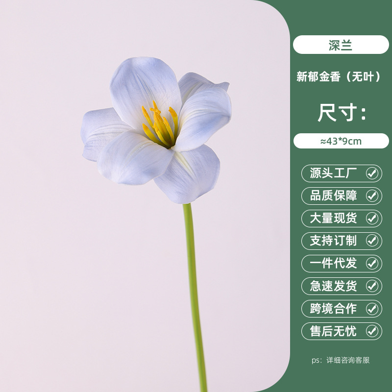 Deep orchid new tulip (leadless)