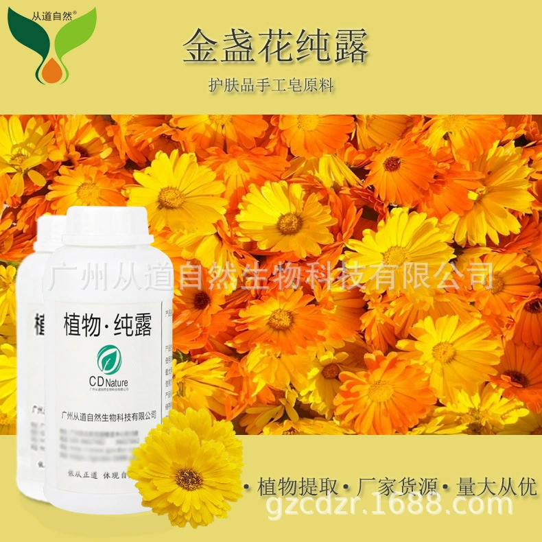 Бархатцы чистая роса Changsheng Хризантема растение чистая косметика росы Тонер лосьон крем образец сырья