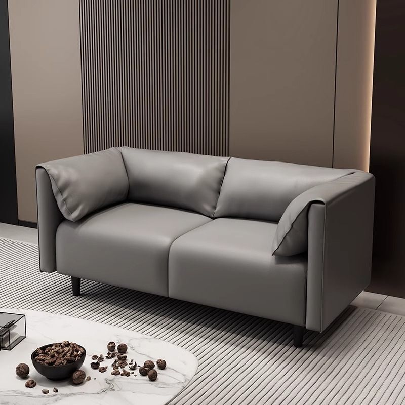 Light Luxury Small Apartment Simple Modern Bedroom Apartment Rental Room Clothing Store Lounge Reception Cat Scratch Leather Sofa