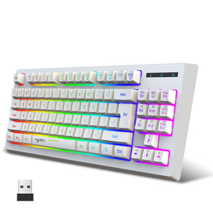L100 film 2.4g wireless keyboard RGB multiple backlight modes 87 key ABS material cross-border Amazon spot