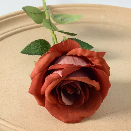 Large velvet rose orange