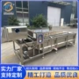 定制气泡果蔬蔬菜流水线
