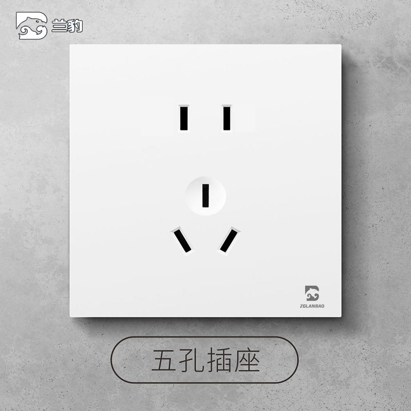 Five-hole socket (two or three plugs)