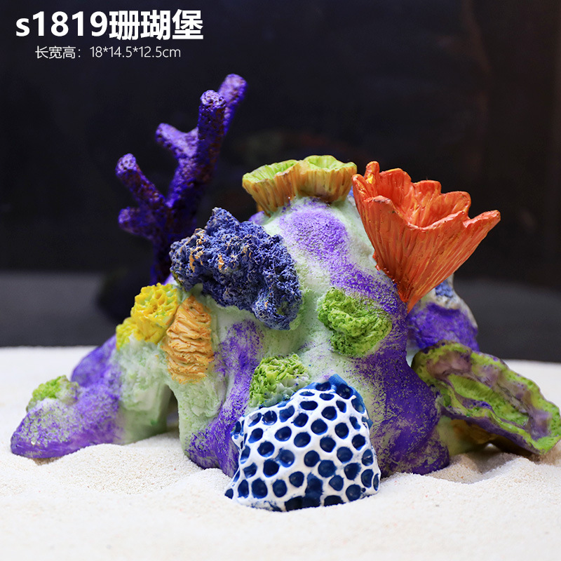 珊瑚山19号