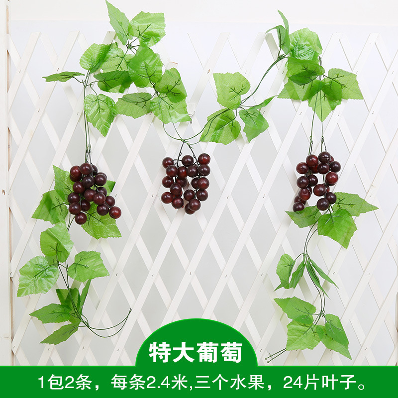 특대 포도 (2팩)