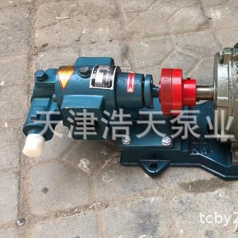 沥青齿轮泵TDFL 胶水 柴油 机油 润滑油 稠油 树脂 渣油齿轮泵