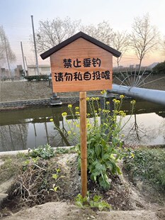 �������ľ���^ָʾ�ƾW�t���ޏV�挧����ľ�ƿ�����ʽָ·��