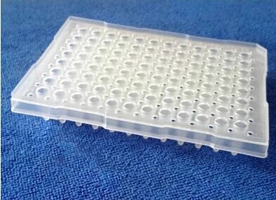 96孔PCR板 带围边 裙边板 96PCR板 96PCR板平面裙边板