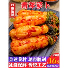 地窖泡菜青年萝卜450g泡菜韩式辣白菜朝鲜族韩国风味延边小伙咸菜