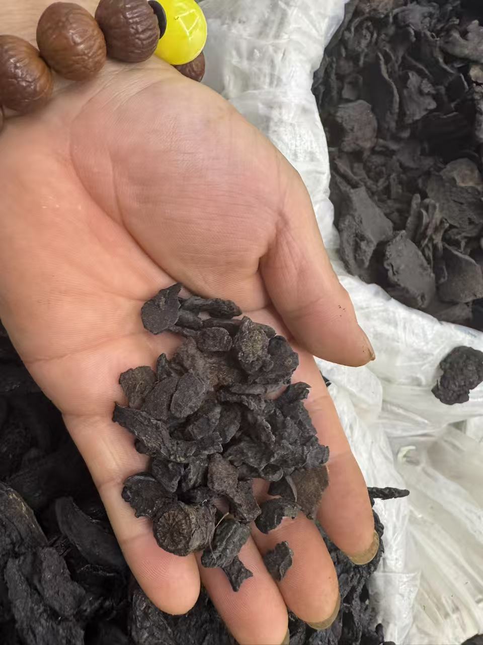 Cistanche Slices Rou Cong Rong Dried Herb for Tonic Wine and Decoction 1000g Bag quality and texture