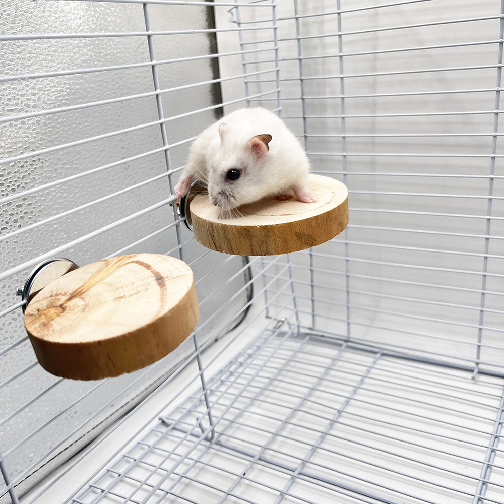 Juguete de hámster, marco de estación de pájaro loro, madera de pino, plataforma redonda pelada, accesorios para jaulas de pájaros, juguetes de madera para mascotas pequeñas