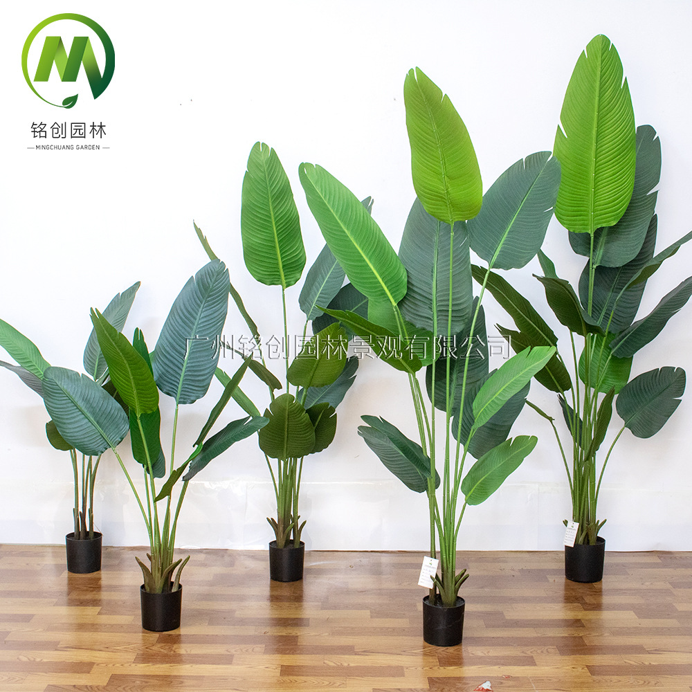 Árbol de simulación transfronterizo, plátano viajero, planta en maceta, nueva planta de simulación, pájaro del paraíso, planta verde de simulación de hoja grande, plátano viajero
