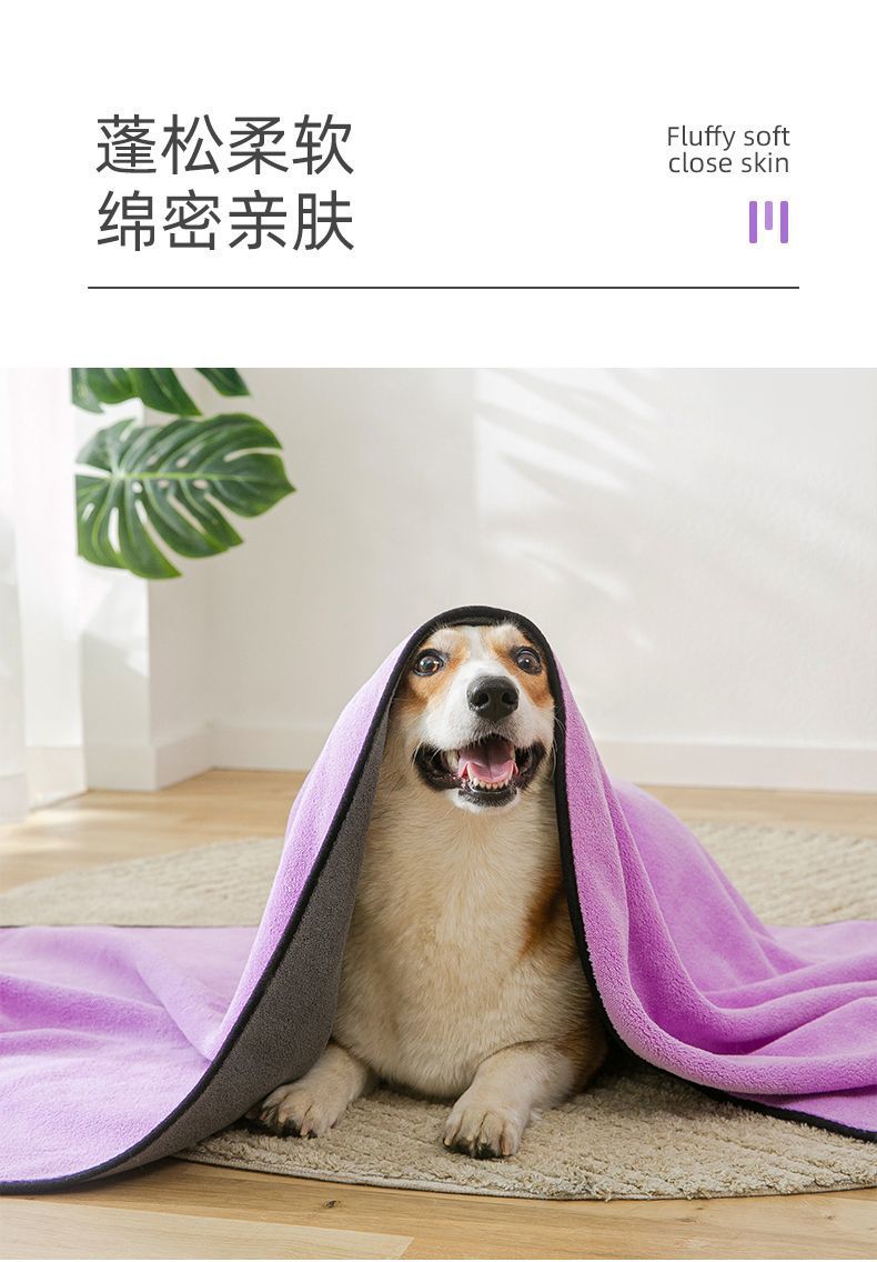 99372b08-4144-44aa-9cab-bef4a8782fe6.jpe