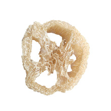 ����ĥ��Ƭԭɫ�z�ϽjС��ҧ���������؈���ӂ}���W�^ĥ�����X