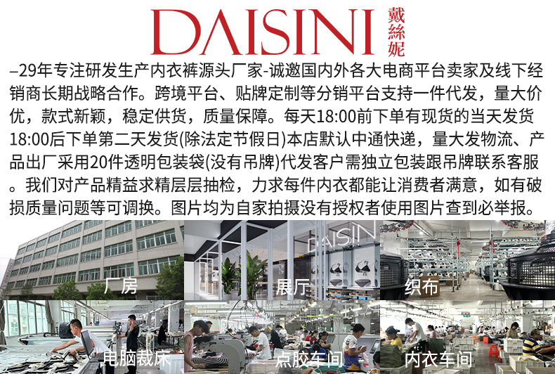 戴丝妮介绍板块