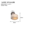 1 head ceiling without light source